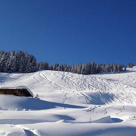 Wallegg - Alpine Premium - In-ski Out - Real Alpine Location Σαλέ Σάαλμπαχ-Χίντεργκλεμ