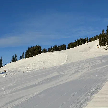 Alpine Deluxe Wallegg-lodge - In-ski Out *
